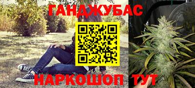 шишки Будённовск