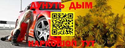 сатива Бузулук