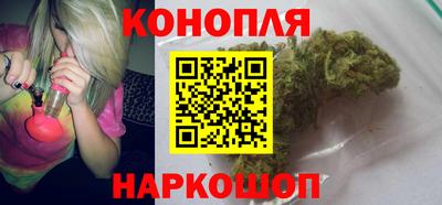 шишки Будённовск