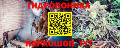 сатива Бузулук