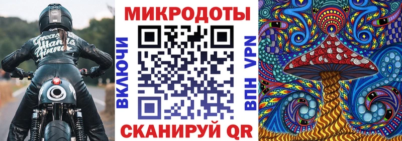 Псилоцибиновые грибы Psilocybe  мега как войти  Ачинск 